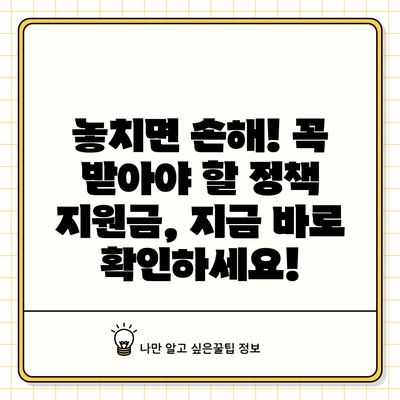 놓치면 손해! 꼭 받아야 할 정책 지원금, 지금 바로 확인하세요!