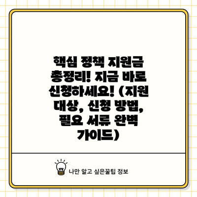 핵심 정책 지원금 총정리! 지금 바로 신청하세요! (지원 대상, 신청 방법, 필요 서류 완벽 가이드)